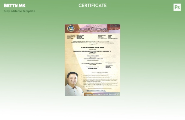 Модерен стил Филипини Град Лусена шаблон за сертификат за приватен претприемач в